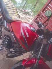 Zaara 110